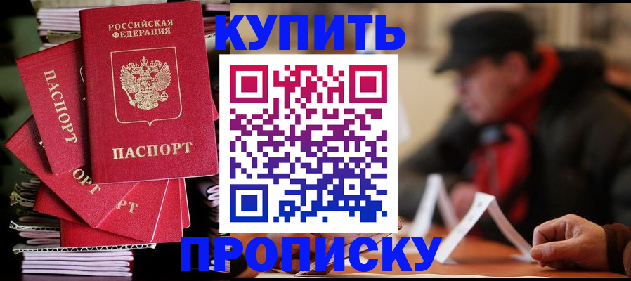 купить прописку в Кандалакше